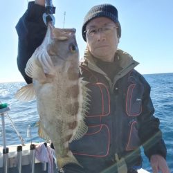 ブルーピア 釣果