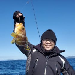 ブルーピア 釣果