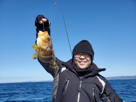 ブルーピア 釣果