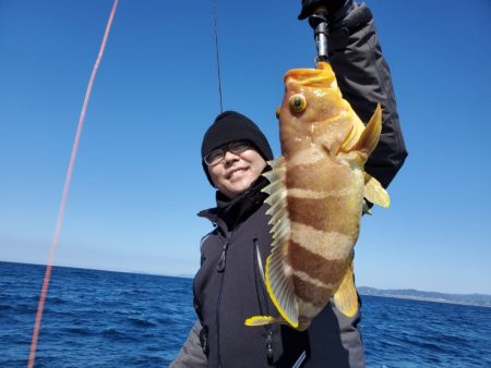 ブルーピア 釣果