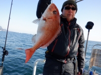 遊漁船 幸友丸 釣果