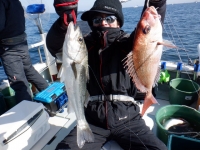 遊漁船 幸友丸 釣果