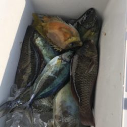 本部釣りイカダ 釣果