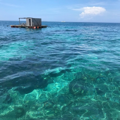本部釣りイカダ 釣果