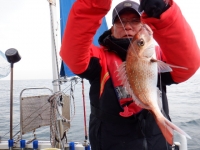 遊漁船 幸友丸 釣果