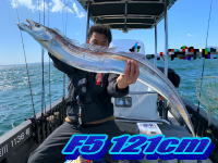 オーシャンマスター 釣果