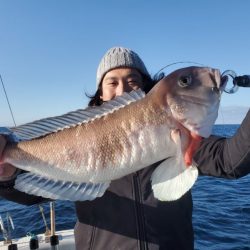 ブルーピア 釣果