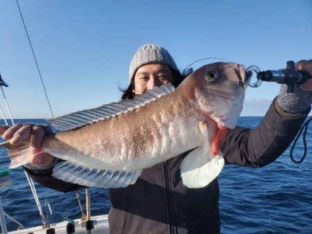 ブルーピア 釣果