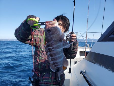 ブルーピア 釣果