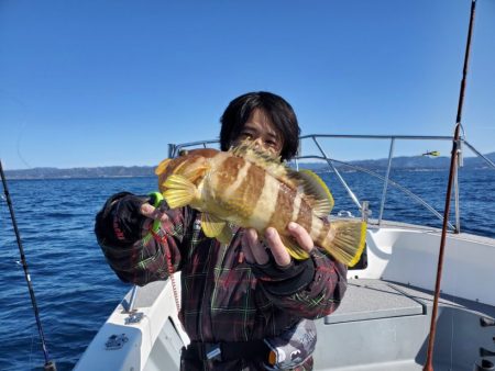 ブルーピア 釣果