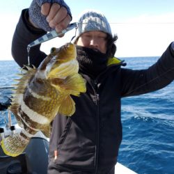 ブルーピア 釣果