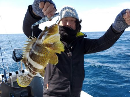 ブルーピア 釣果