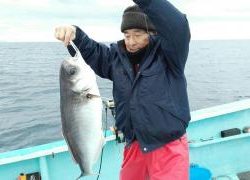 長栄丸(静岡) 釣果