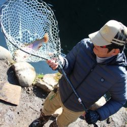 小菅トラウトガーデン 釣果