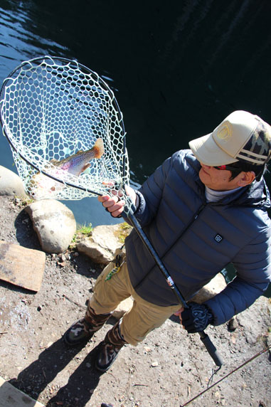 小菅トラウトガーデン 釣果