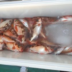 第二むつ漁丸 釣果