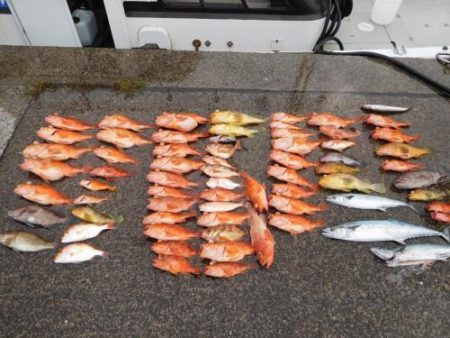 第二一之紀丸（ダイニイチノキマル） 釣果