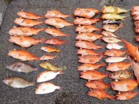 第二一之紀丸(ダイニイチノキマル) 釣果