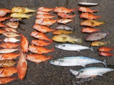 第二一之紀丸(ダイニイチノキマル) 釣果