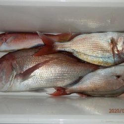 第二むつ漁丸 釣果