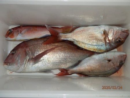 第二むつ漁丸 釣果