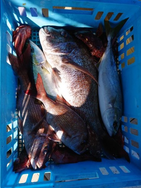 たかみ丸 釣果
