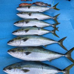 まるいち丸 ZERO-1 釣果