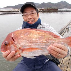 釣友丸 釣果