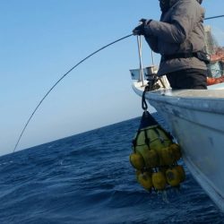 第五慶門丸 釣果