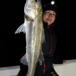 Marine T Design マリンティーデザイン 釣果