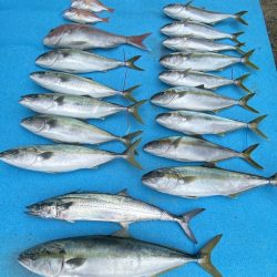 まるいち丸 ZERO-1 釣果