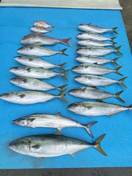 まるいち丸 ZERO-1 釣果