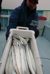 KONAYAーMARU(こなや丸) 釣果