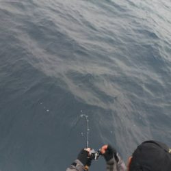 第五慶門丸 釣果