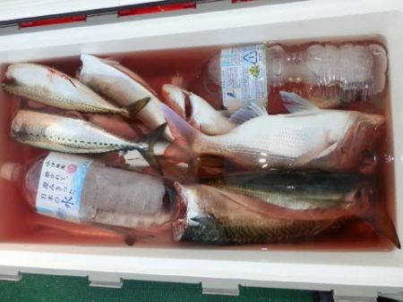 第二むつ漁丸 釣果