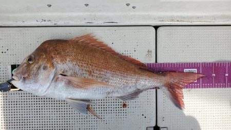 遊漁船　ニライカナイ 釣果