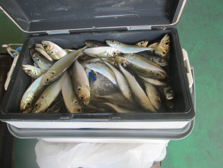 下関フィッシングパーク 釣果