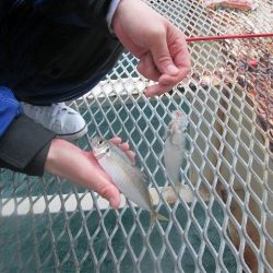 下関フィッシングパーク 釣果