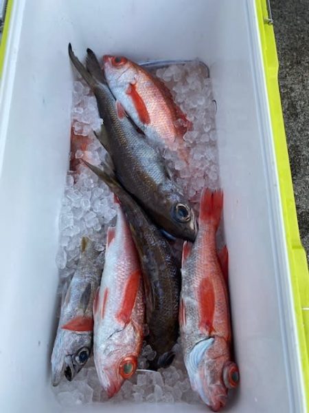 へいみつ丸 釣果