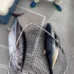 へいみつ丸 釣果