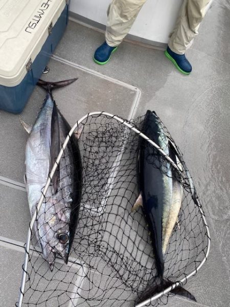 へいみつ丸 釣果