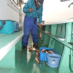 第二むつ漁丸 釣果