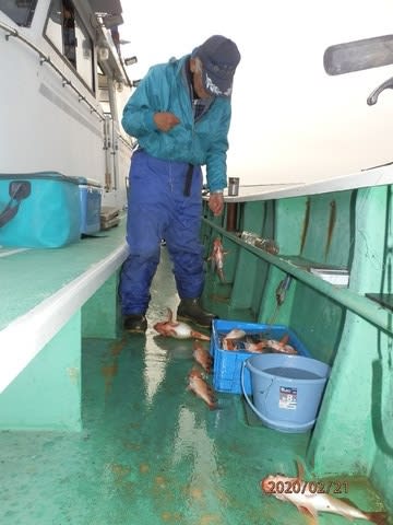 第二むつ漁丸 釣果