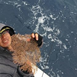 第五慶門丸 釣果