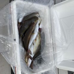 第八大安丸 釣果