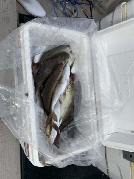 第八大安丸 釣果