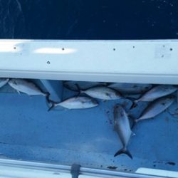 第五慶門丸 釣果