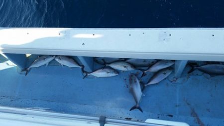 第五慶門丸 釣果