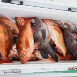 第二むつ漁丸 釣果