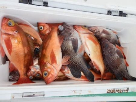 第二むつ漁丸 釣果